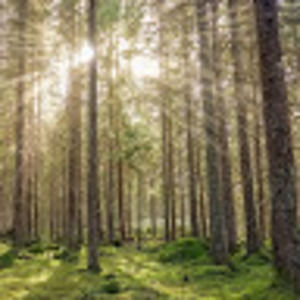 Meet your Posher, Karma